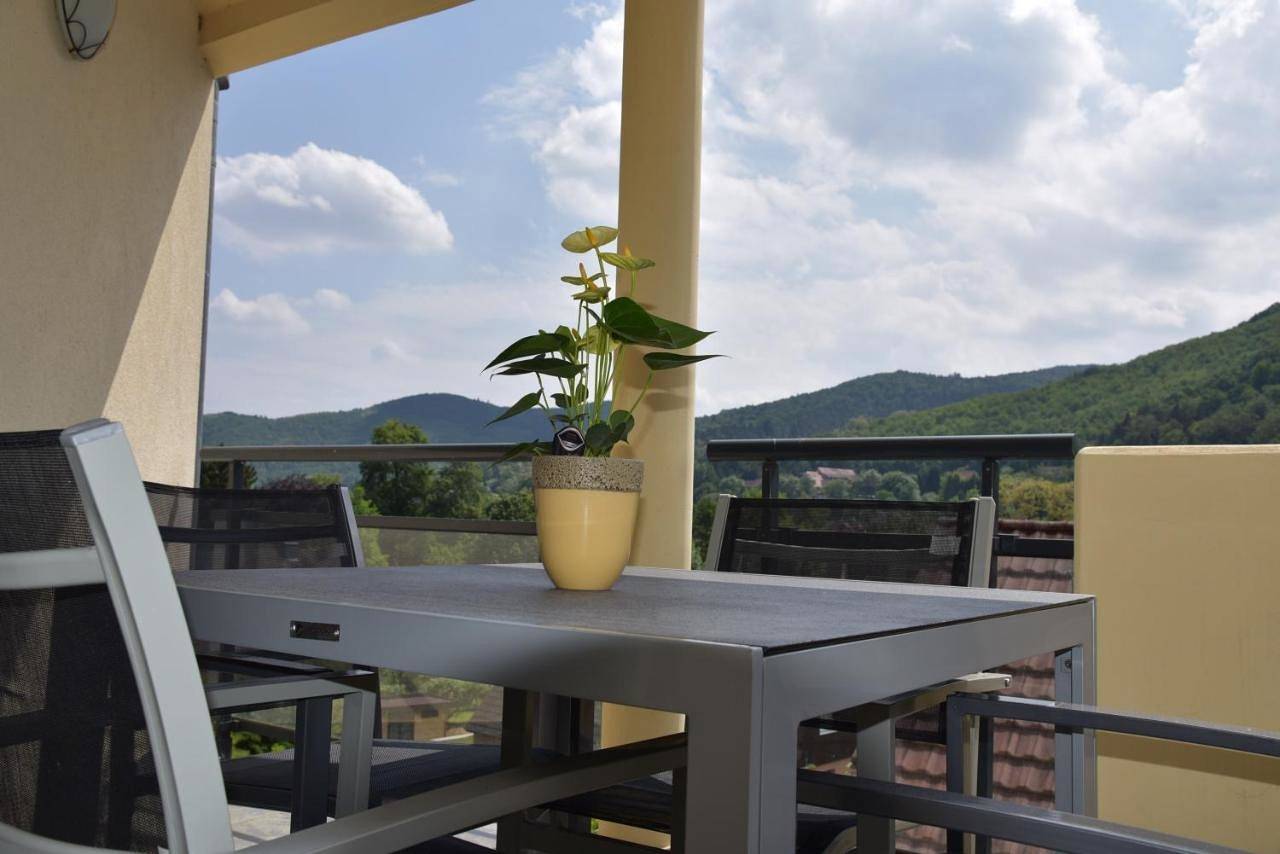 Appartement entier, Apartment with Mountain View in Kaysersberg, Parc naturel régional des Ballons des Vosges