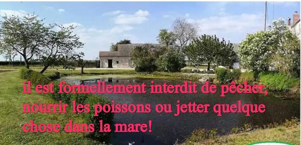 Location de vacances pour 6 personnes, avec jardin à Azay-le-Ferron - 4