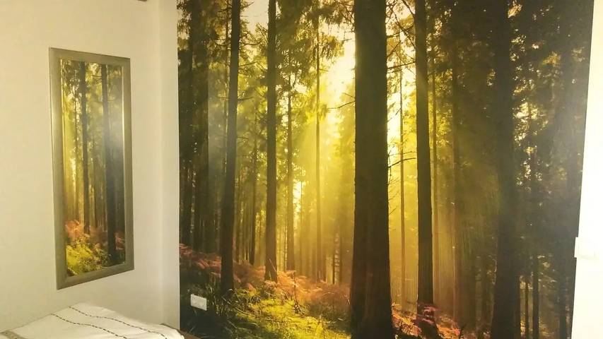 Ferienwohnung für 4 Personen, mit Garten in Zell am Harmersbach - 4