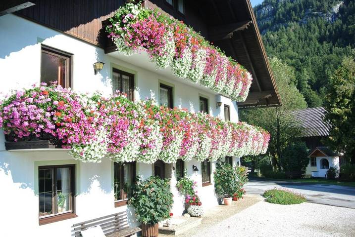 Ferienwohnung für 4 Personen, mit Ausblick und Garten sowie Balkon in Fuschl am See