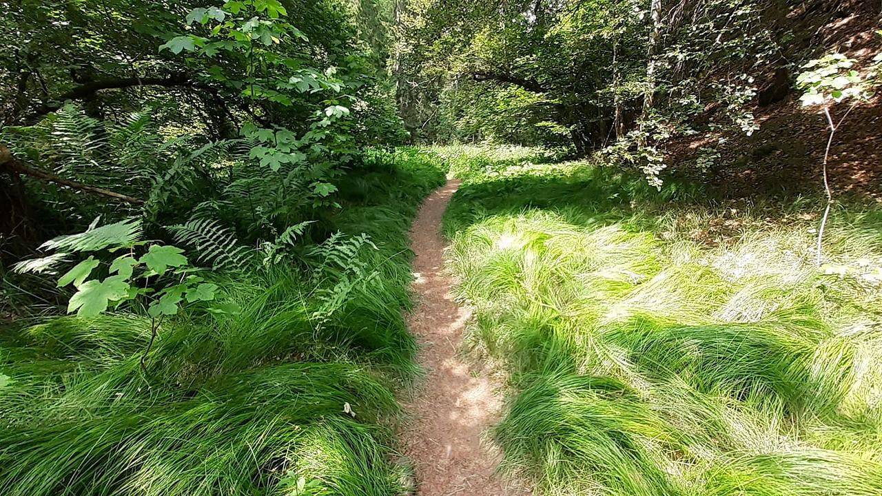 Ganze Ferienwohnung, Ferienwohnung für 6 Personen (110 m²) in Löffingen in Göschweiler, Löffingen
