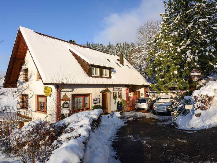 Ferienwohnung für 3 Personen, mit Ausblick und Sauna sowie Terrasse und Garten, mit Haustier in Bad Peterstal-Griesbach