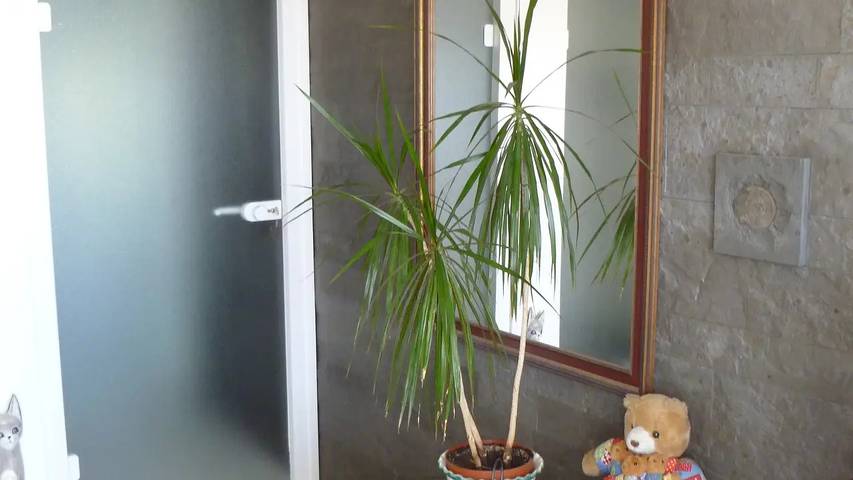 Ferienwohnung für 6 Personen, mit Sauna und Terrasse sowie Garten, mit Haustier in Reichenau - 4