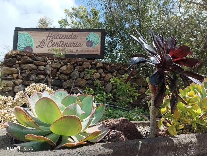 Casa rural para 2 personas, con jardín además de vistas y piscina en El Paso - 3