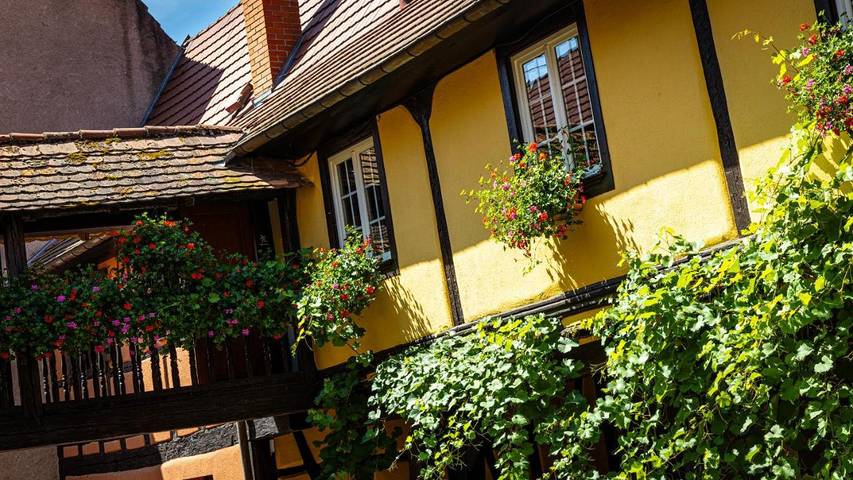 Hôtel pour 4 personnes, avec jardin ainsi que terrasse et sauna à Kientzheim - 2