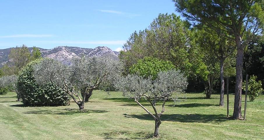 Location de vacances pour 8 personnes, avec jardin ainsi que vue et piscine à Cheval-Blanc - 3