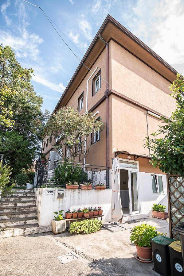 Chambre d’hôte pour 3 personnes, avec jardin, animaux acceptés à Muggia - 4