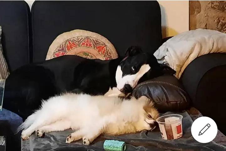 Location de vacances pour 2 personnes, avec vue ainsi que terrasse et jardin à Anglès - 2