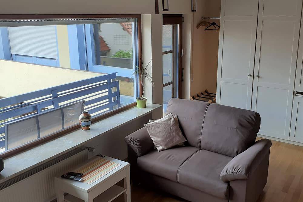 Ganze Wohnung, Büdingen-1-Zimmer-Apartment hell und Allergiker-geeignet in Büdingen, Wetterau