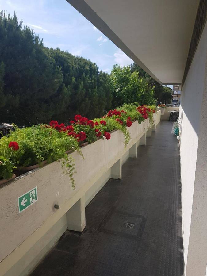 Ferienwohnung für 3 Personen, mit Balkon und Terrasse sowie Garten und Ausblick in Cesenatico - 2
