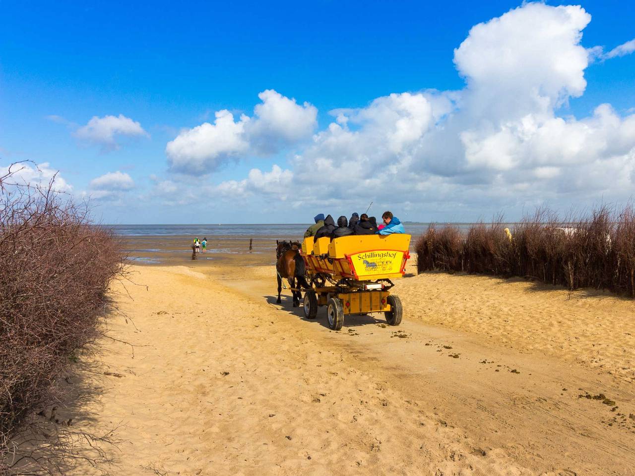 Ganze Ferienwohnung, Cuxduhier - Wohnung Robbe in Sahlenburg Strand, Cuxhaven