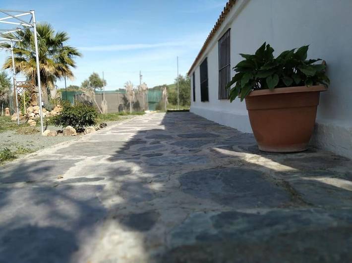 Gîte pour 8 personnes, avec Balcon et Terrasse ainsi que Jardin et Piscine à Montellano - 4