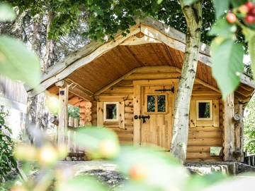 Ferienhaus für 20 Personen in Papstdorf, Gohrisch, Bild 1