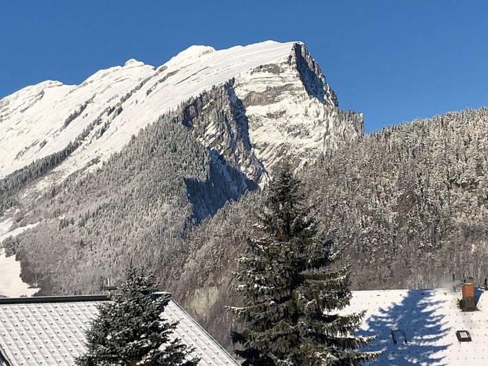 Hotel für 4 Personen, mit Balkon und Garten sowie Sauna in Au - 2