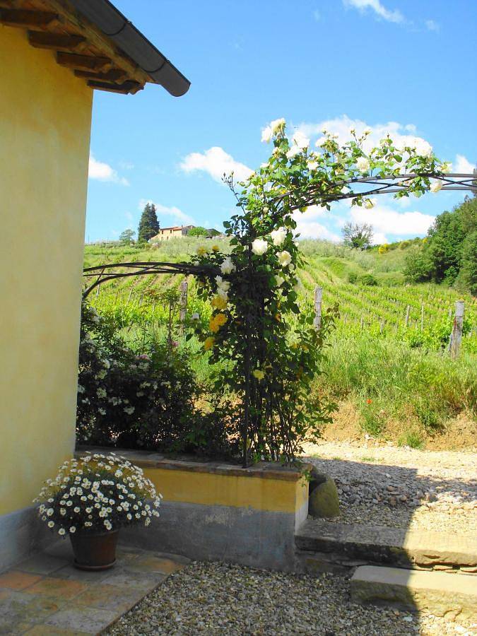Chambre d’hôte pour 2 personnes, avec vue et jardin à Greve In Chianti - 3