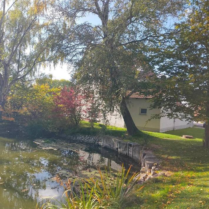 Ferienwohnung für 5 Personen, mit Terrasse und Garten sowie Seeblick und Ausblick in Hörselberg-Hainich