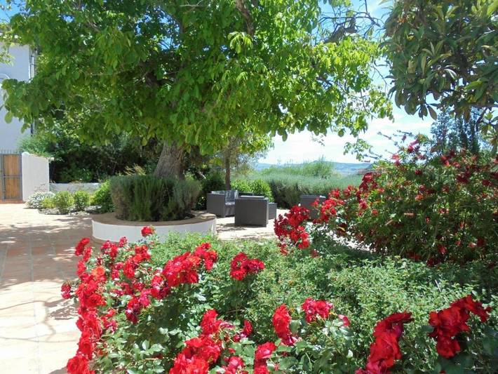 Casa rural para 6 personas, con piscina además de jardín y vistas en Grazalema - 3