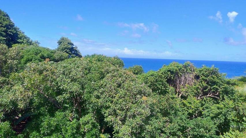 Location de vacances pour 6 personnes, avec vue et jardin à Le Marigot - 3