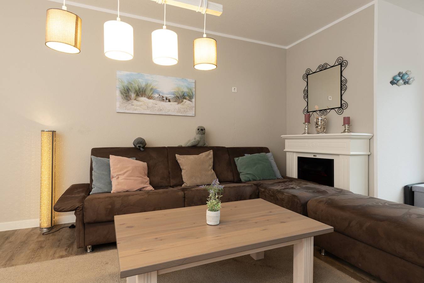 Ostseerobbe in Holm, Schönberg