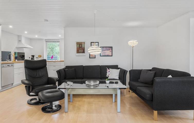 Ferienhaus für 6 Personen, mit Terrasse, mit Haustier in Skjern - 4