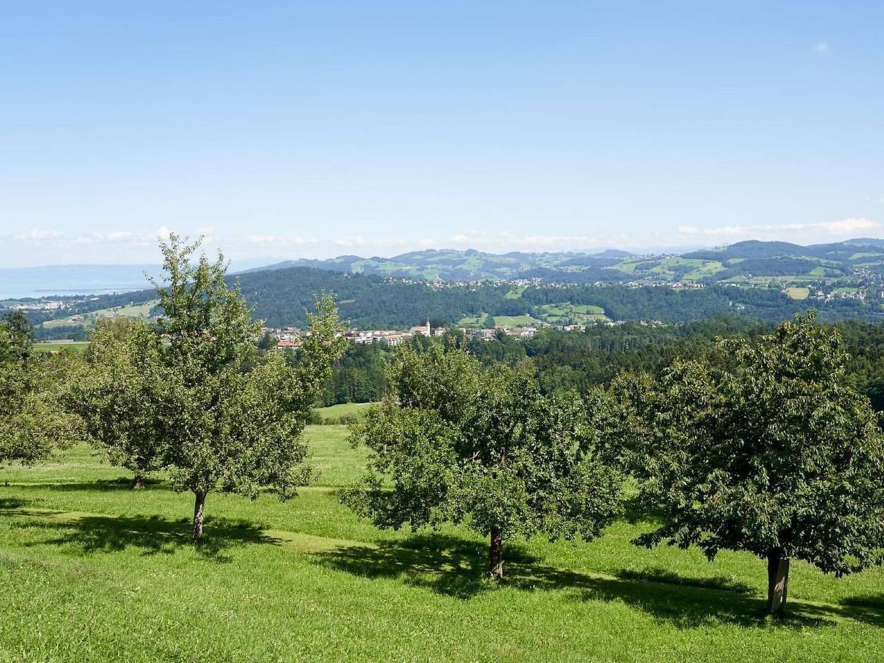Appartamento intero, Hof Höchi in Bodensee-Svizzera