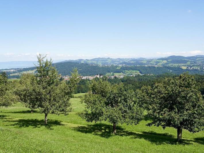 Ferienwohnung für 6 Personen, mit Garten am Bodensee (Schweiz) - 3