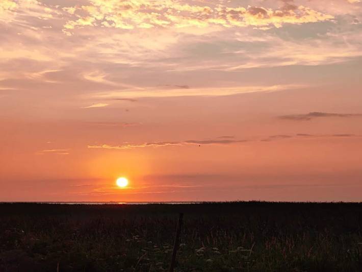 Ferienhaus für 6 Personen, mit Terrasse, kinderfreundlich in Nørhede Vest - 3