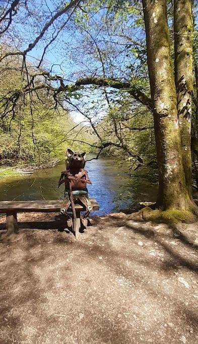 Location de vacances pour 4 personnes, avec jardin ainsi que terrasse et jacuzzi dans Porcheresse - 3