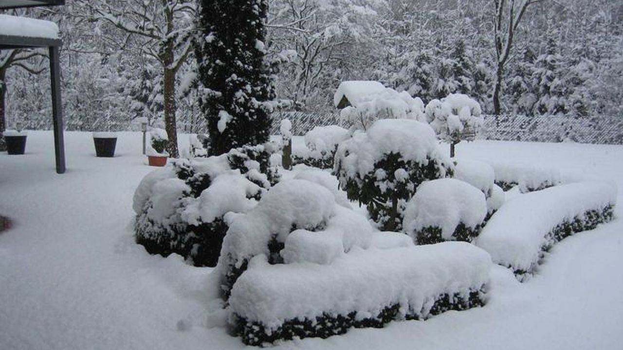 Ganze Ferienwohnung, Ferienwohnung für 2 Personen (81 m²) in Saterland in Saterland, Oldenburger Münsterland
