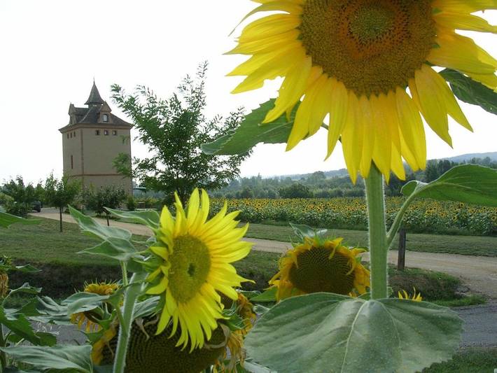Location de vacances pour 4 personnes, avec vue ainsi que jardin et terrasse dans Larrazet