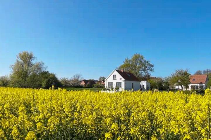 Ferienhaus für 4 Personen, mit Terrasse, kinderfreundlich in Lemkendorf - 3
