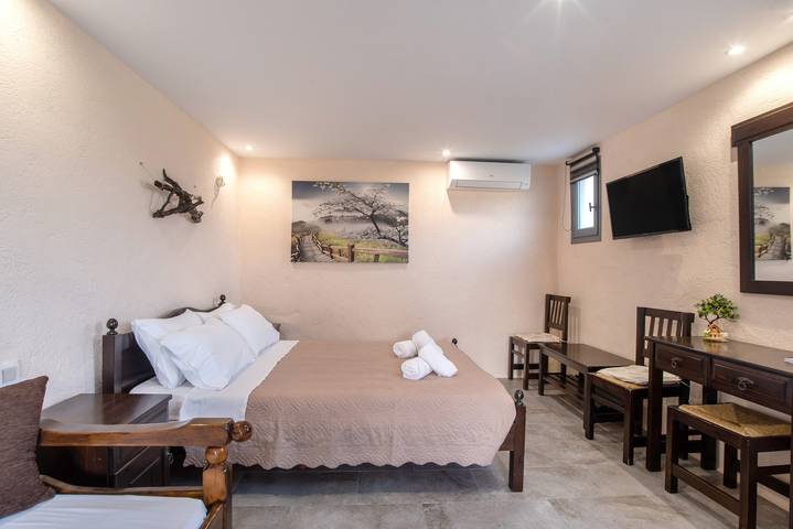 Hel lejlighed, Apartment 'Studios Kapsali 1' with Sea View, Wi-Fi and Air Conditioning in Galini, Naxos (ø)