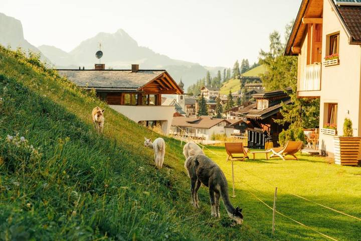 Appartamento per 3 persone, con Giardino e Sauna nonché Panorama a San Cassiano