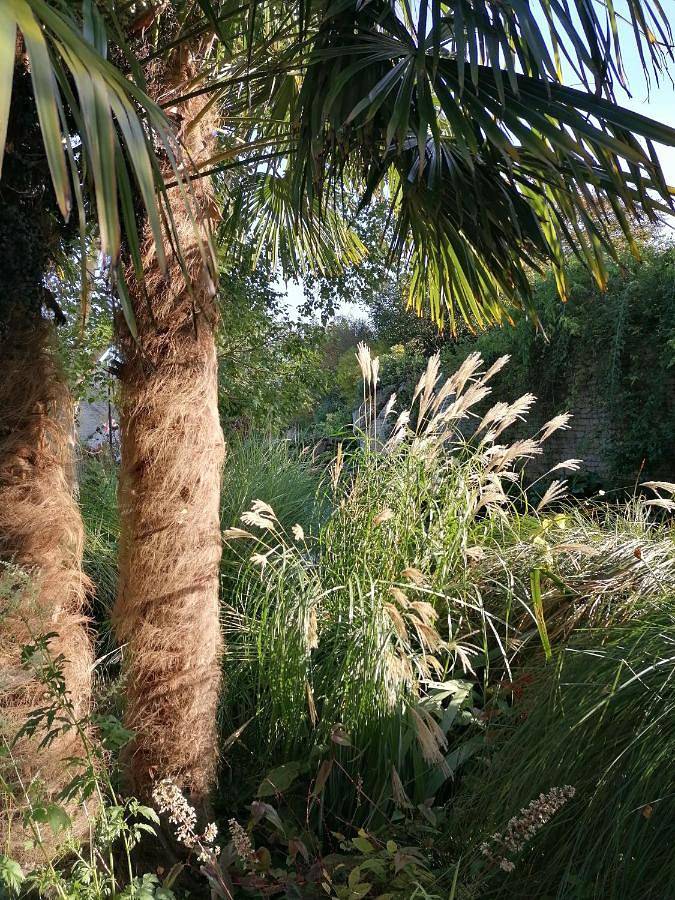 Location de vacances pour 5 personnes, avec jardin et vue à Reviers - 4