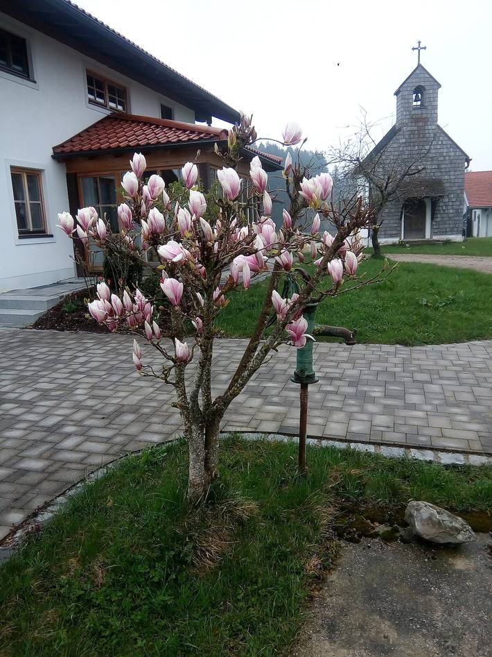 Ferienwohnung für 2 Personen, mit Balkon und Garten, kinderfreundlich in Waging am See - 3