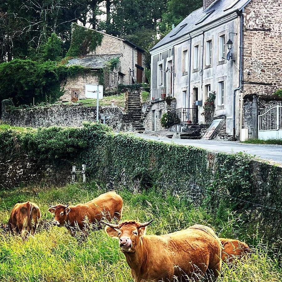 Vue Du Vallon in Bersac-sur-Rivalier, Région de Limoges