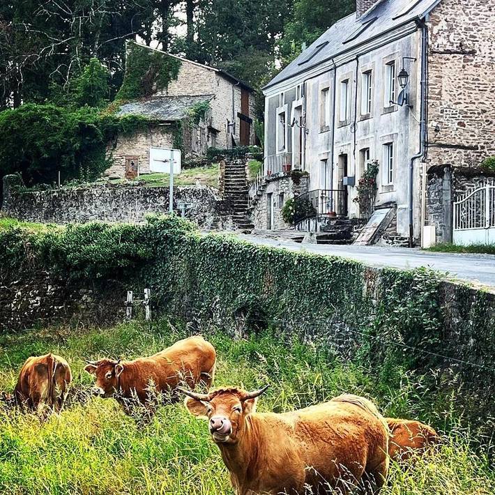 Gîte pour 4 personnes, avec piscine ainsi que jardin et vue à Bersac-sur-Rivalier - 2