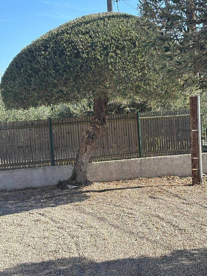 Location de vacances pour 4 personnes, avec jardin et terrasse à Junas