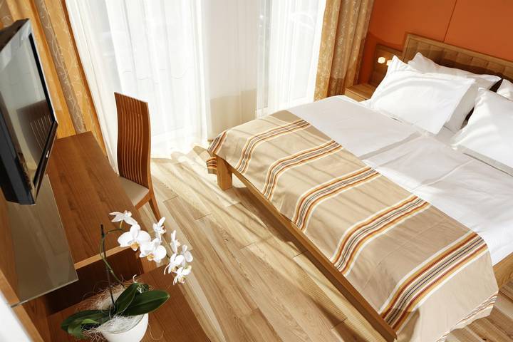 Standard-Doppelzimmer ohne Frühstück in Südoststeiermark, Feldbach