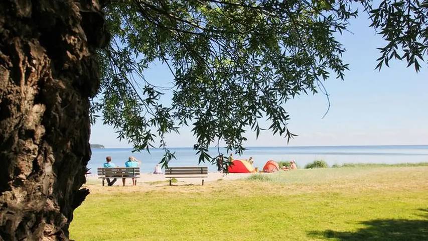 Ferienhaus für 6 Personen, mit Sauna und Garten sowie Balkon in Putbus - 4