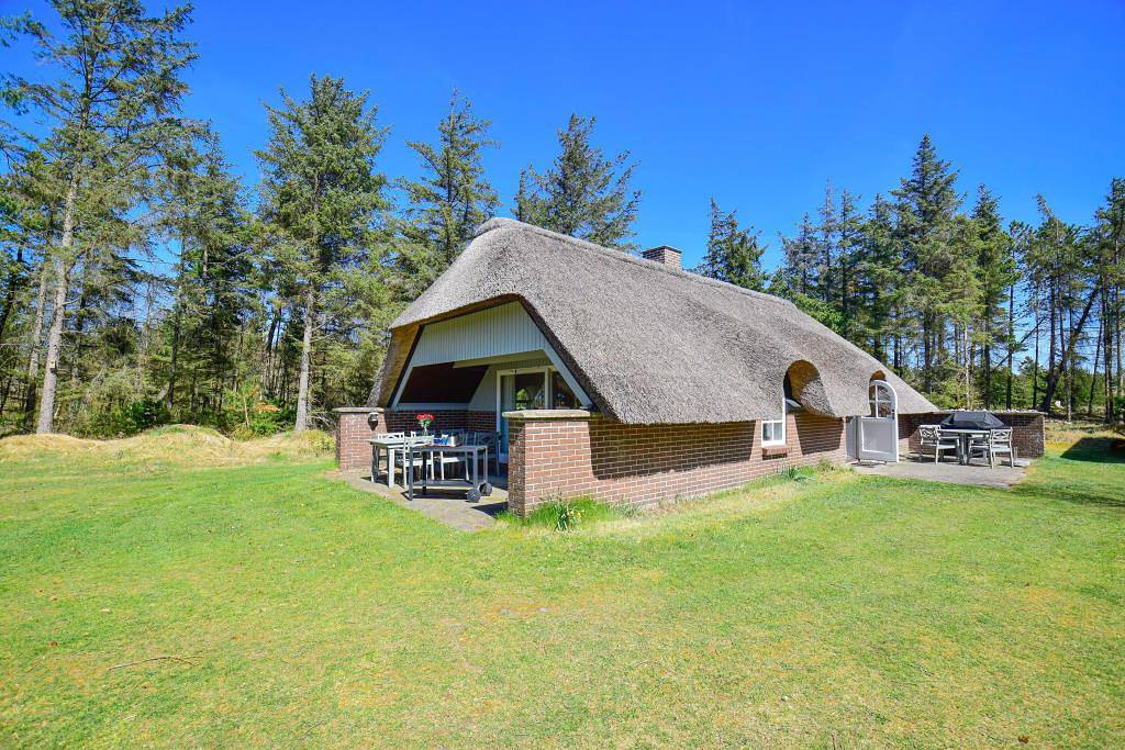 Beautiful holiday home well sheltered on the edge of the forest near the Danish North Sea in Vester Husby, Husby