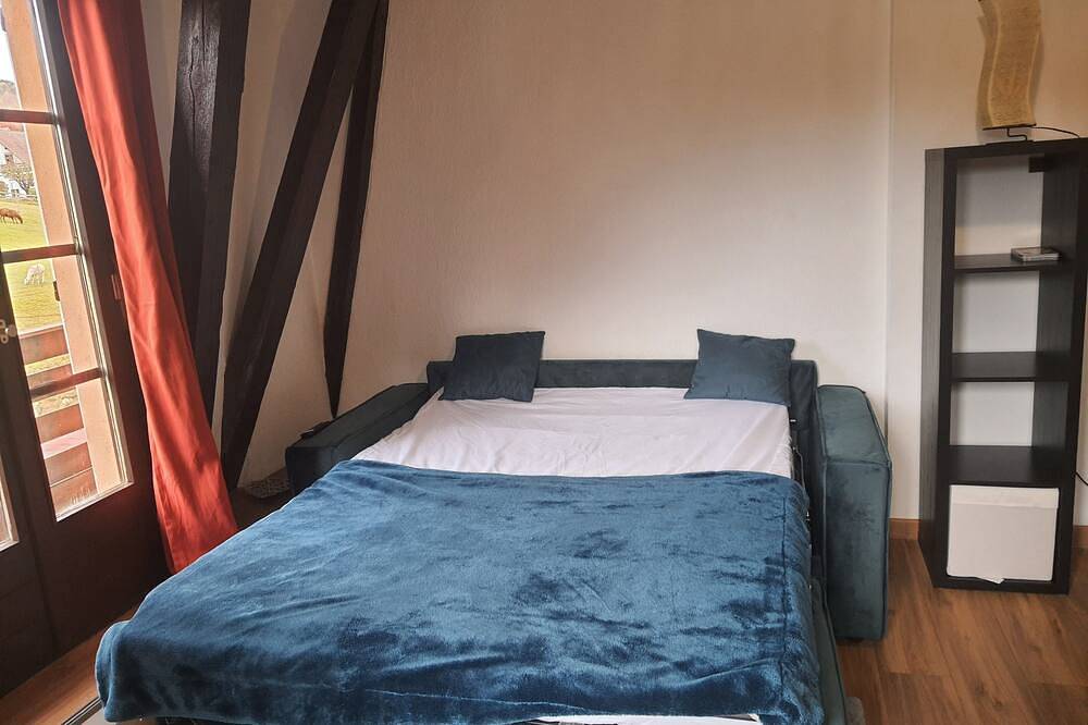 Entire apartment, Cosy studio in Le Hohwald - Nature and relaxation guaranteed in Le Hohwald, Sélestat-Erstein region