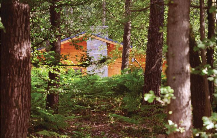 Location de vacances pour 8 personnes, avec terrasse, adapté aux familles à Viroinval - 4