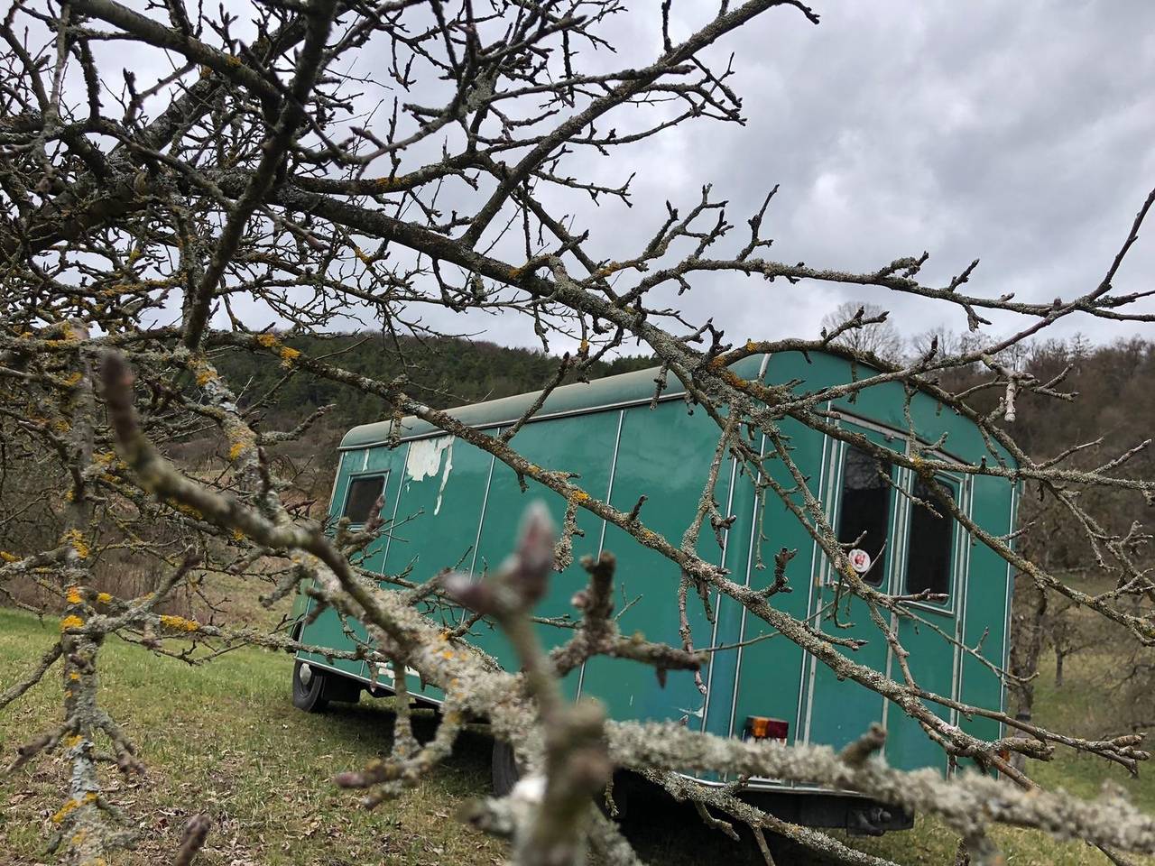 Ganze Wohnung, Tauber Glamping Mobil - Glamping Mobil (12qm) auf einer Obstbaumwiese in absoluter Alleinlage in Tauberbischofsheim, Stuttgart Region