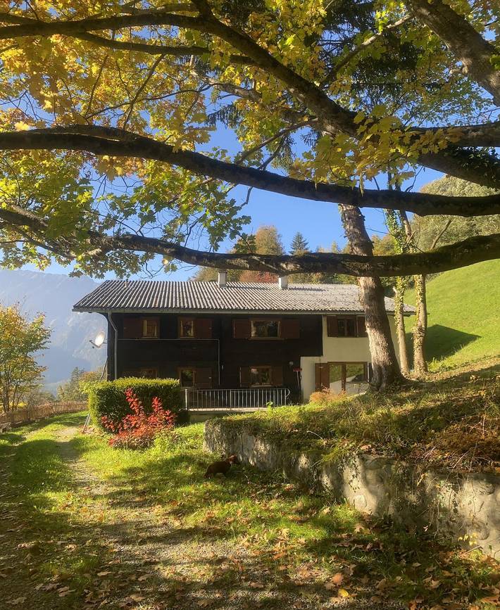 Vakantiehuis voor 10 personen, with Terras and Tuin as well as Uitzicht in Bartholomäberg