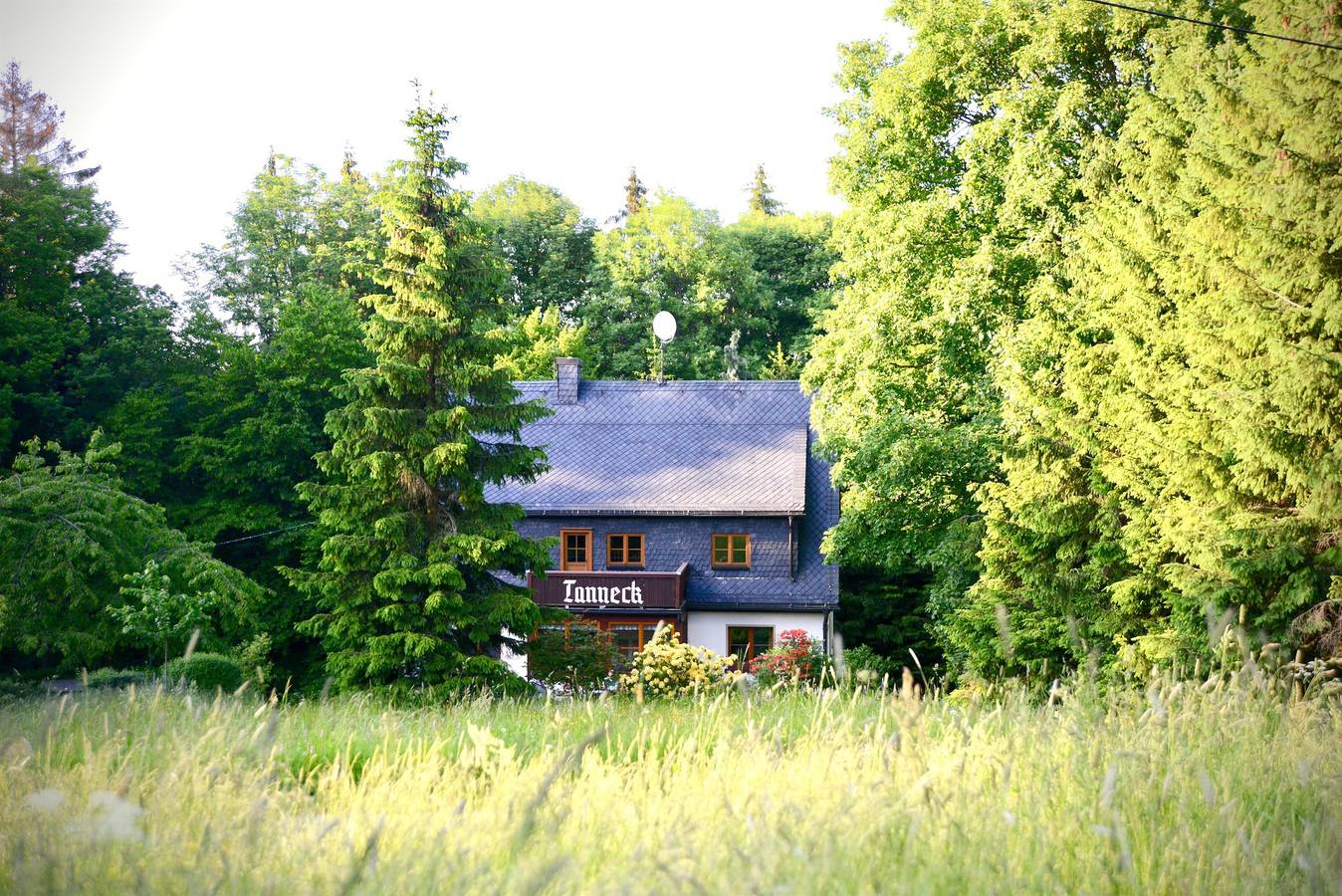 Ferienhaus Haus Tanneck in Altenberg, Mittlere Erzgebirge