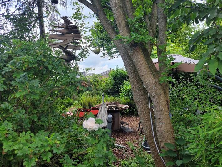 Location de vacances pour 6 personnes, avec vue et jardin ainsi que sauna et piscine dans Dranouter - 2