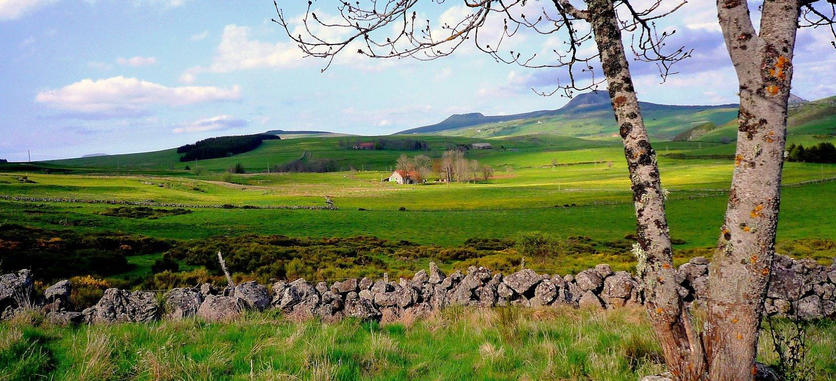 Le Moulin du Gage - Chambre la Loire in Le Béage, Ardèche