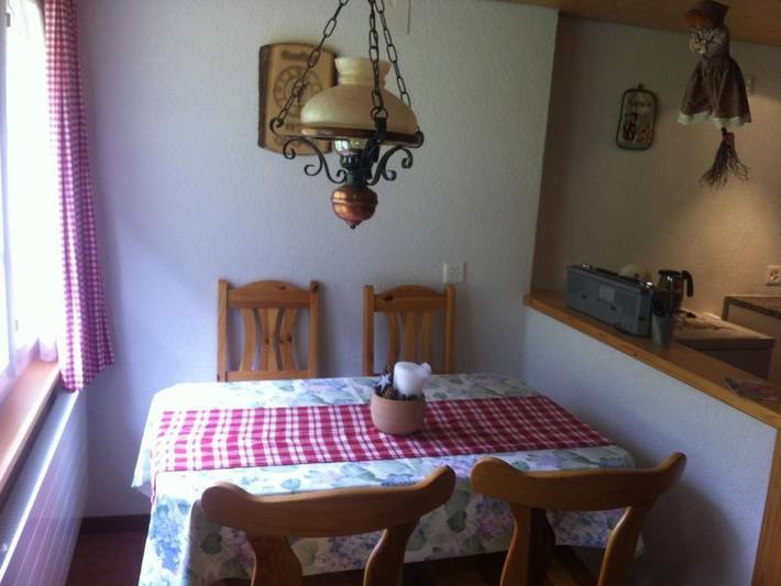 Ganze Wohnung, Im grünen in Schwendi b. Grindelwald, Grindelwald