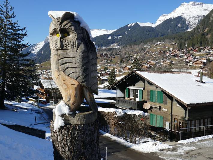 Gîte pour 4 personnes, avec balcon à Grindelwald - 3